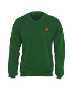 SFHS LITE FLEECE VNECK PULLOVER